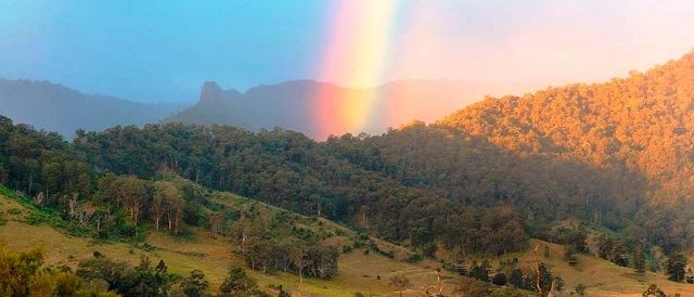 9 things you’ll wanna do in gold coast, as suggested by these famous malaysians