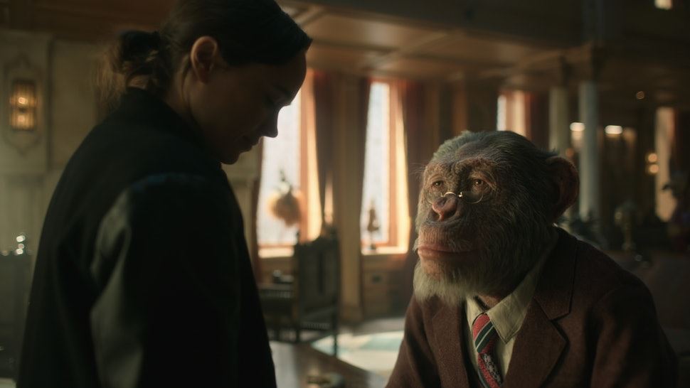 watched ‘the umbrella academy’ yet? here’s some things you may not have known about it!