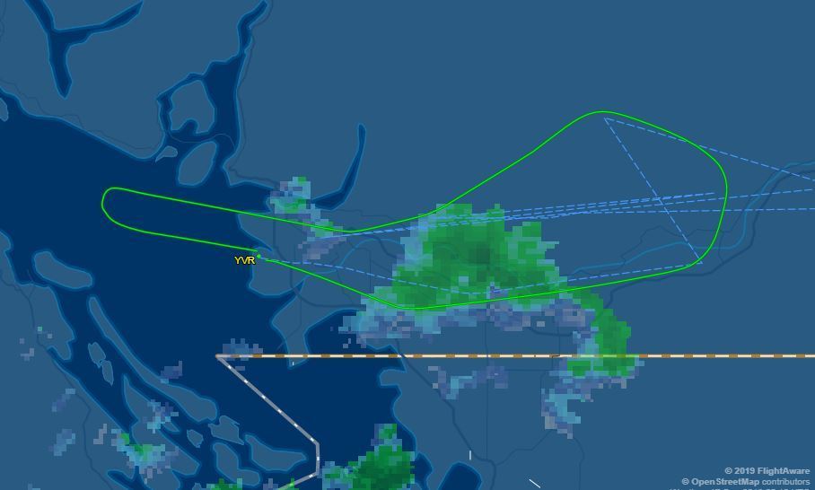 pilot did emergency landing because durian was too smelly