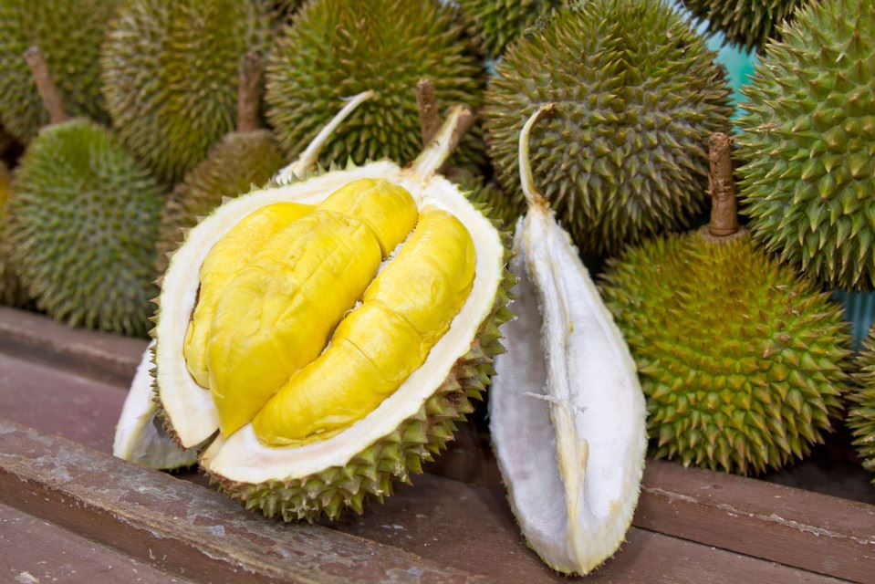 pilot did emergency landing because durian was too smelly