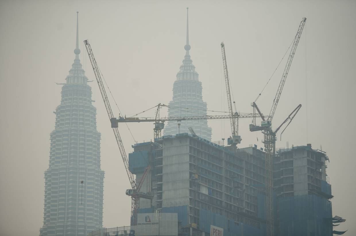 orangutans, phythons & birds among dead & injured from toxic haze