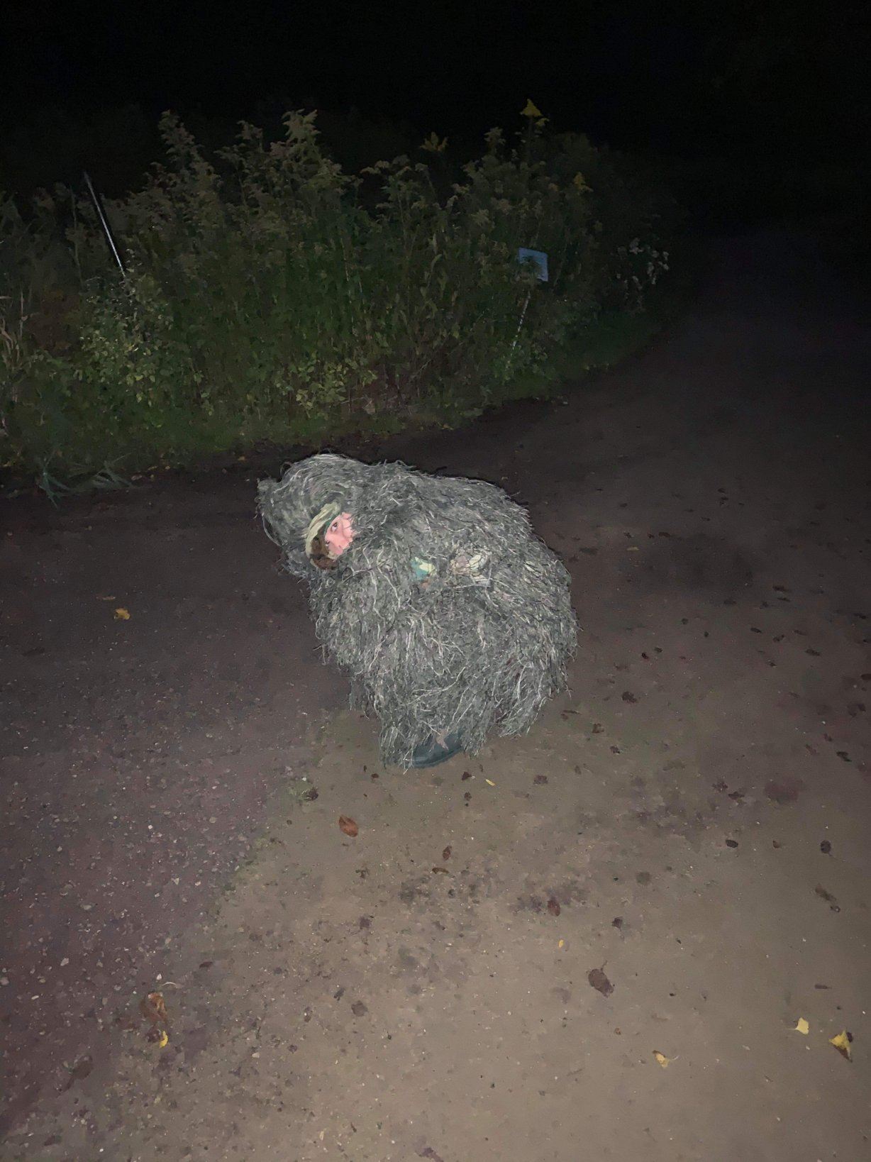 girl camouflages as a bush to capture sister’s proposal 