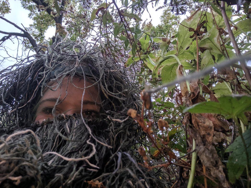 girl camouflages as a bush to capture sister’s proposal 