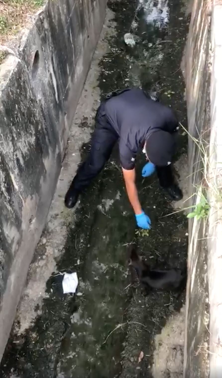 police officer saves puppy from drain while on roadblock duty and wins netizens’ hearts