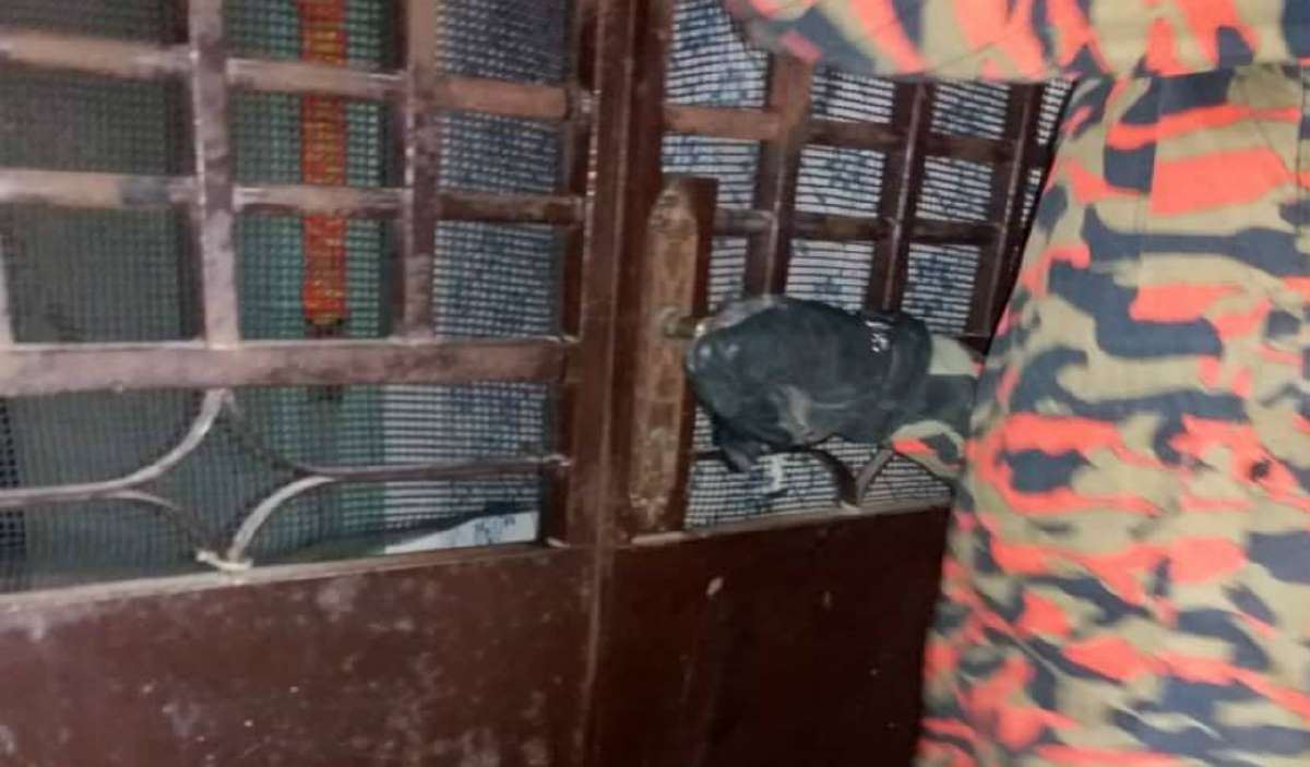 family thinks son is dead but he was actually just dead asleep