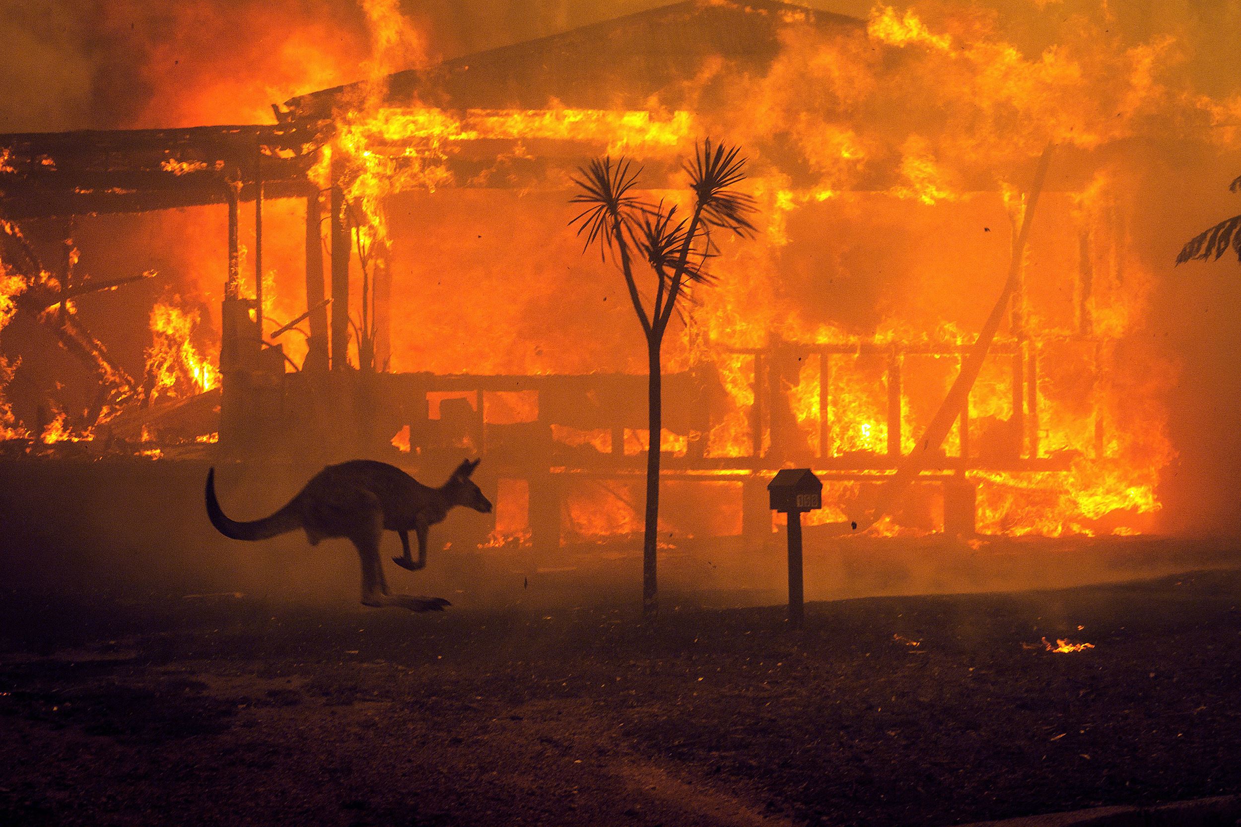 australia’s new south wales is finally free from bushfires after more than 240 days