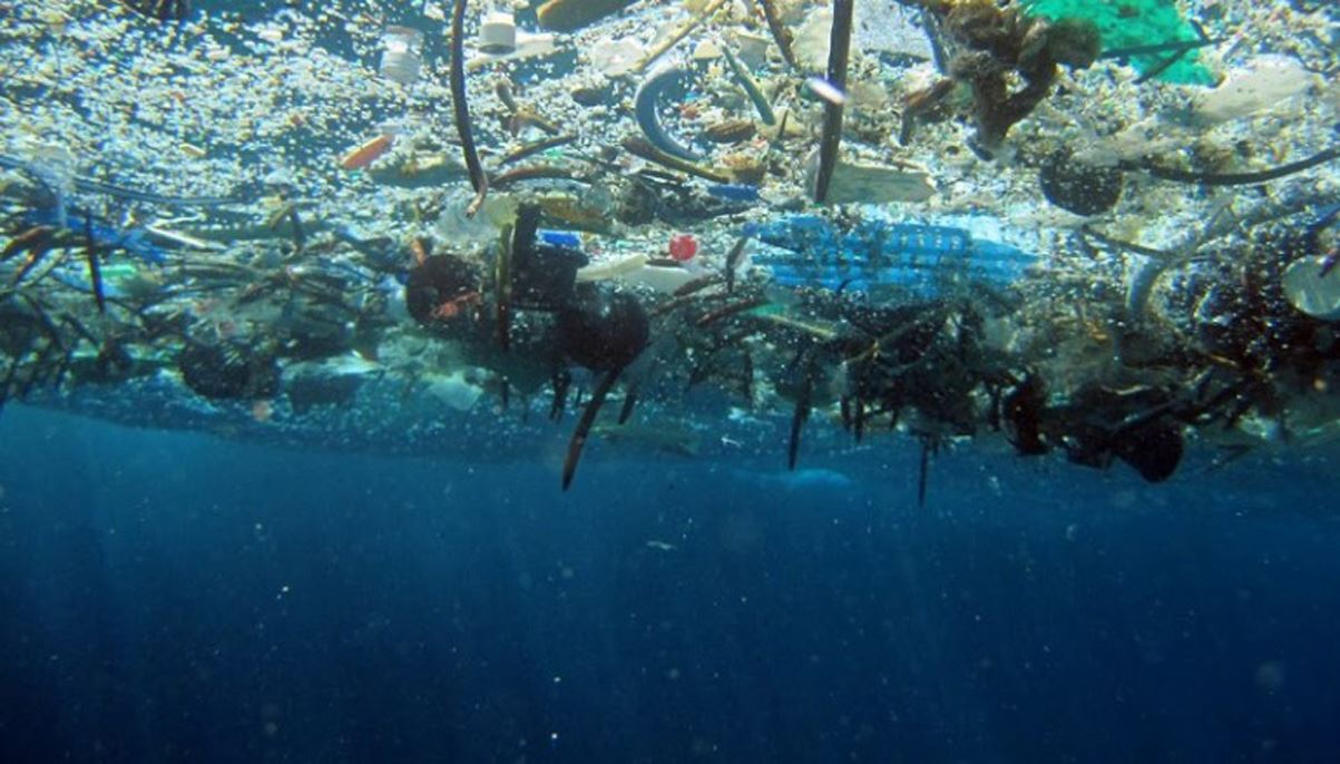 wwf revealed msia to be worst plastic ocean polluter in asia