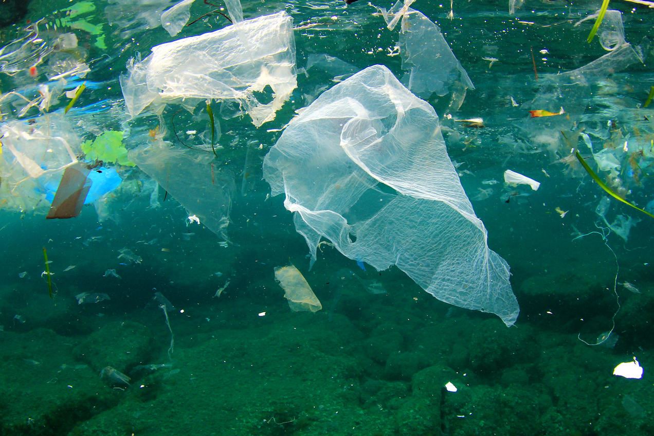 wwf revealed msia to be worst plastic ocean polluter in asia