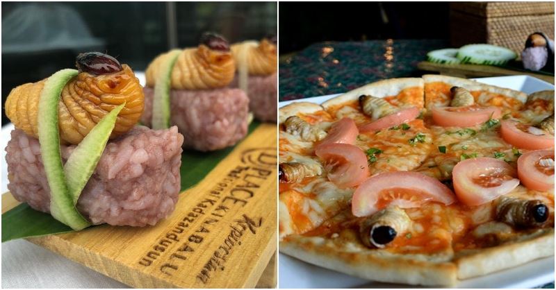 worm sushi and pizza are real in sabah and we’re done for today