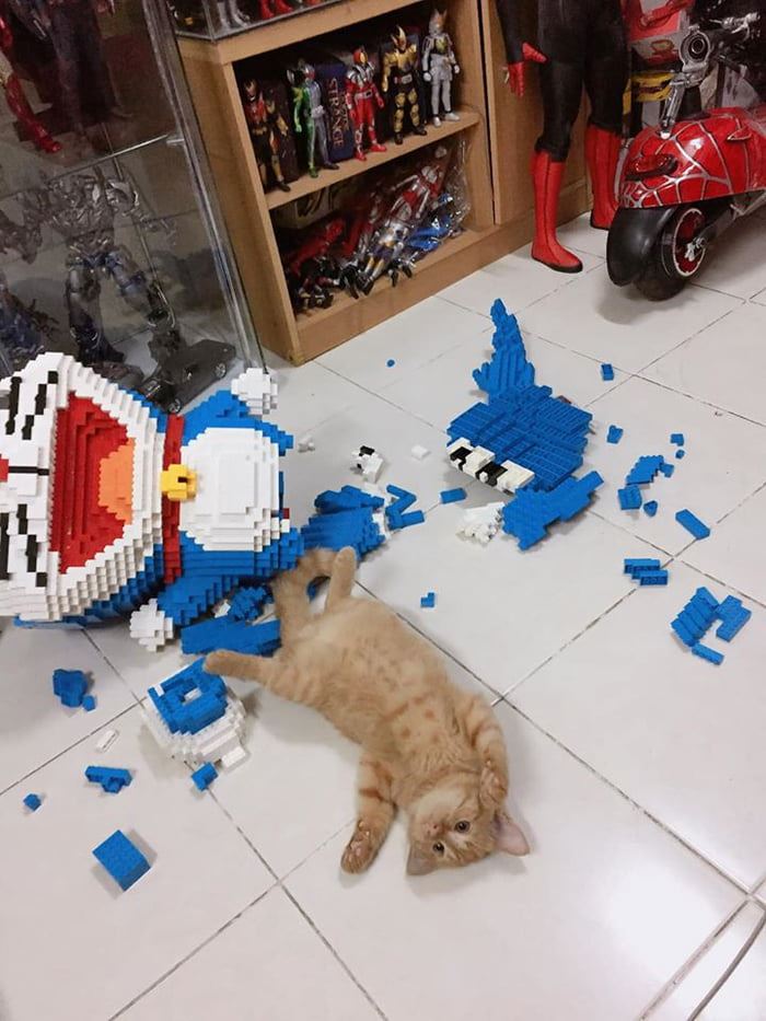cat destroys 2,432-piece toy owner spent a week building