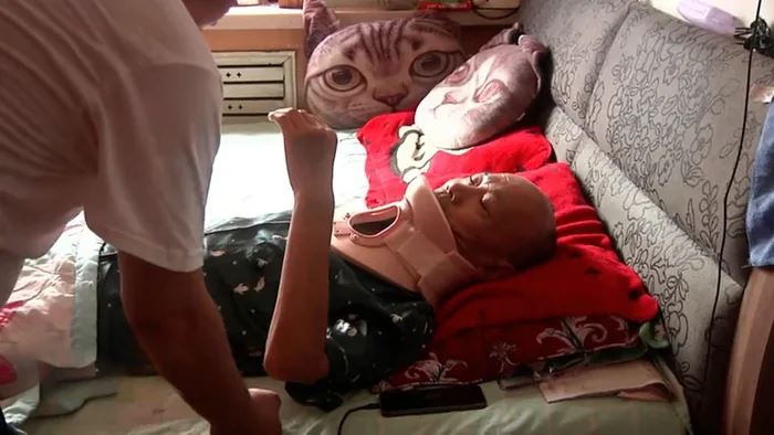 dog corners cat that fell from the sky and hits its owner unconscious