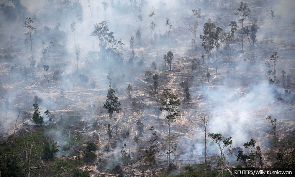indonesia declares forest fires emergency in several provinces