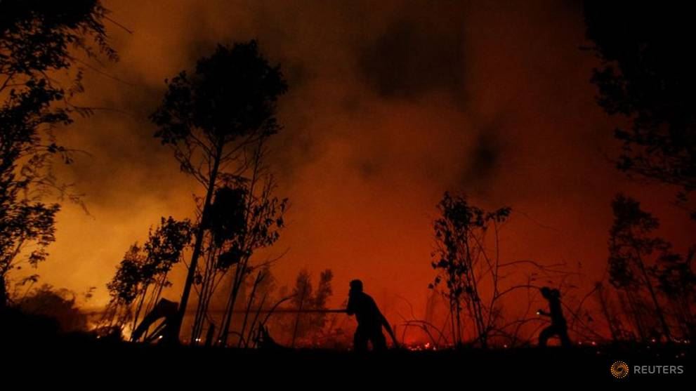 indonesia declares forest fires emergency in several provinces