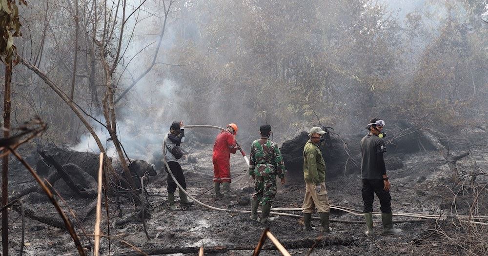 indonesia declares forest fires emergency in several provinces