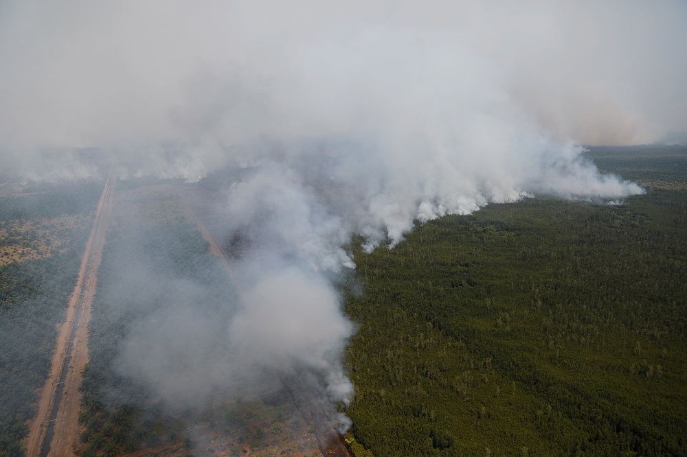indonesia declares forest fires emergency in several provinces
