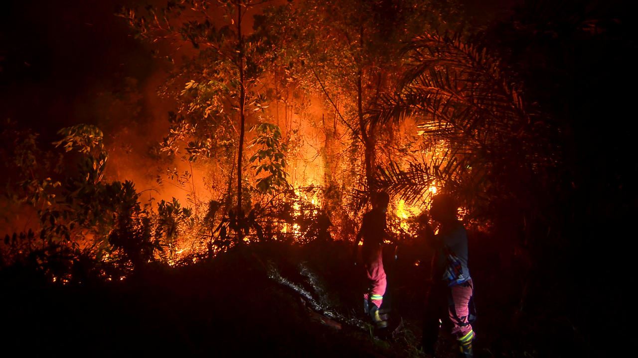 indonesia declares forest fires emergency in several provinces