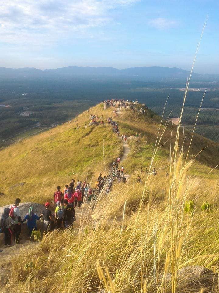 broga hill ordered to close for 2 weeks after hikers violate sops