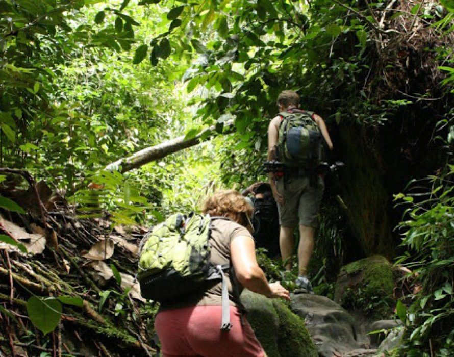 hiking, camping and jungle trekking to be allowed again starting monday!