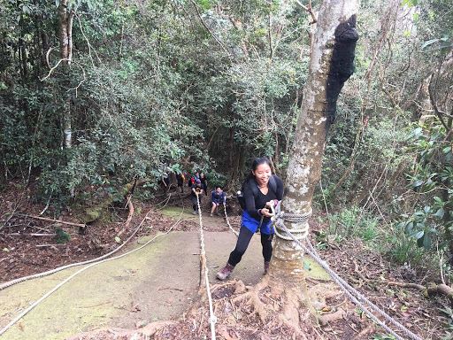 hiking, camping and jungle trekking to be allowed again starting monday!