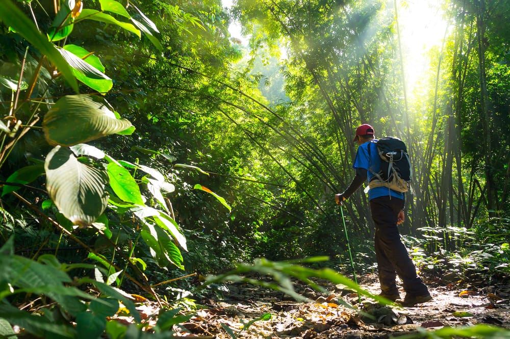 hiking, camping and jungle trekking to be allowed again starting monday!
