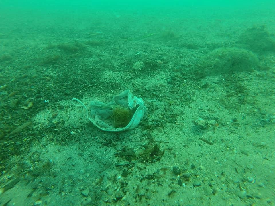 disposable face masks and ppe have been found littering the ocean floors 