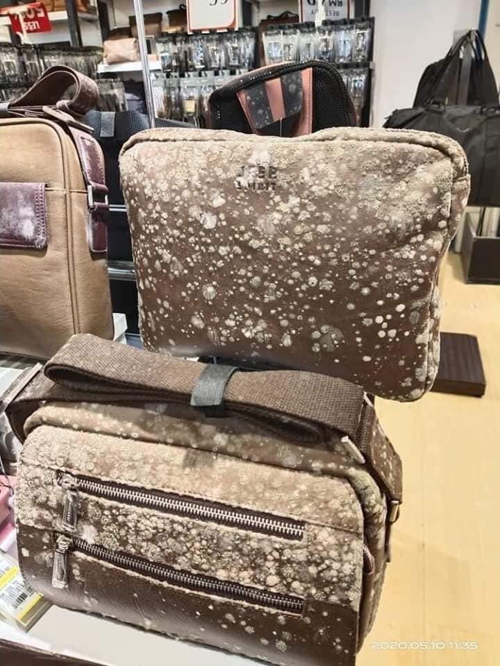 after 2 months of mco, mould was found growing on leather products in department store