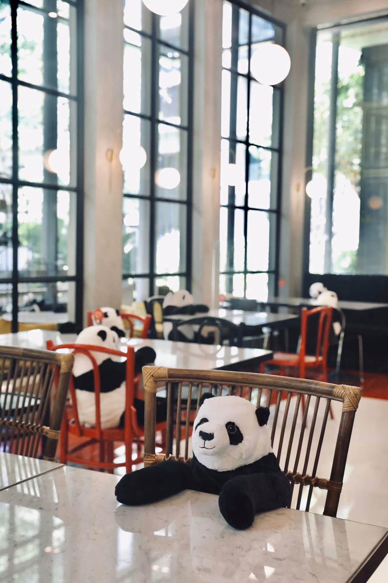 thai restaurant uses toy pandas to ensure diners practice social distancing