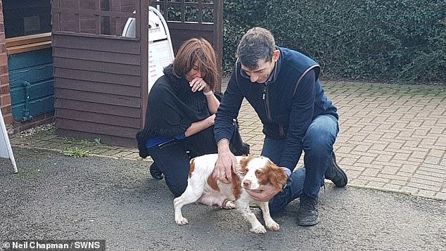 touching moment couple reunited with their dog that was stolen six years ago