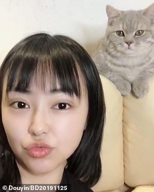 adorable cat tries its best to not get caught after being snuck into class