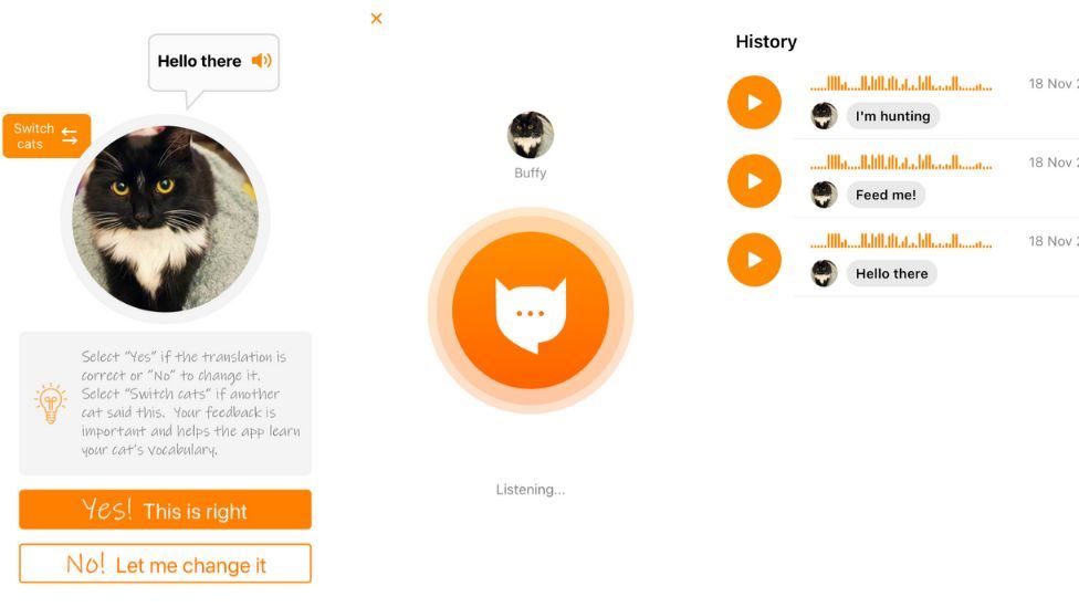 engineer creates app that translates what your cat’s meows mean!
