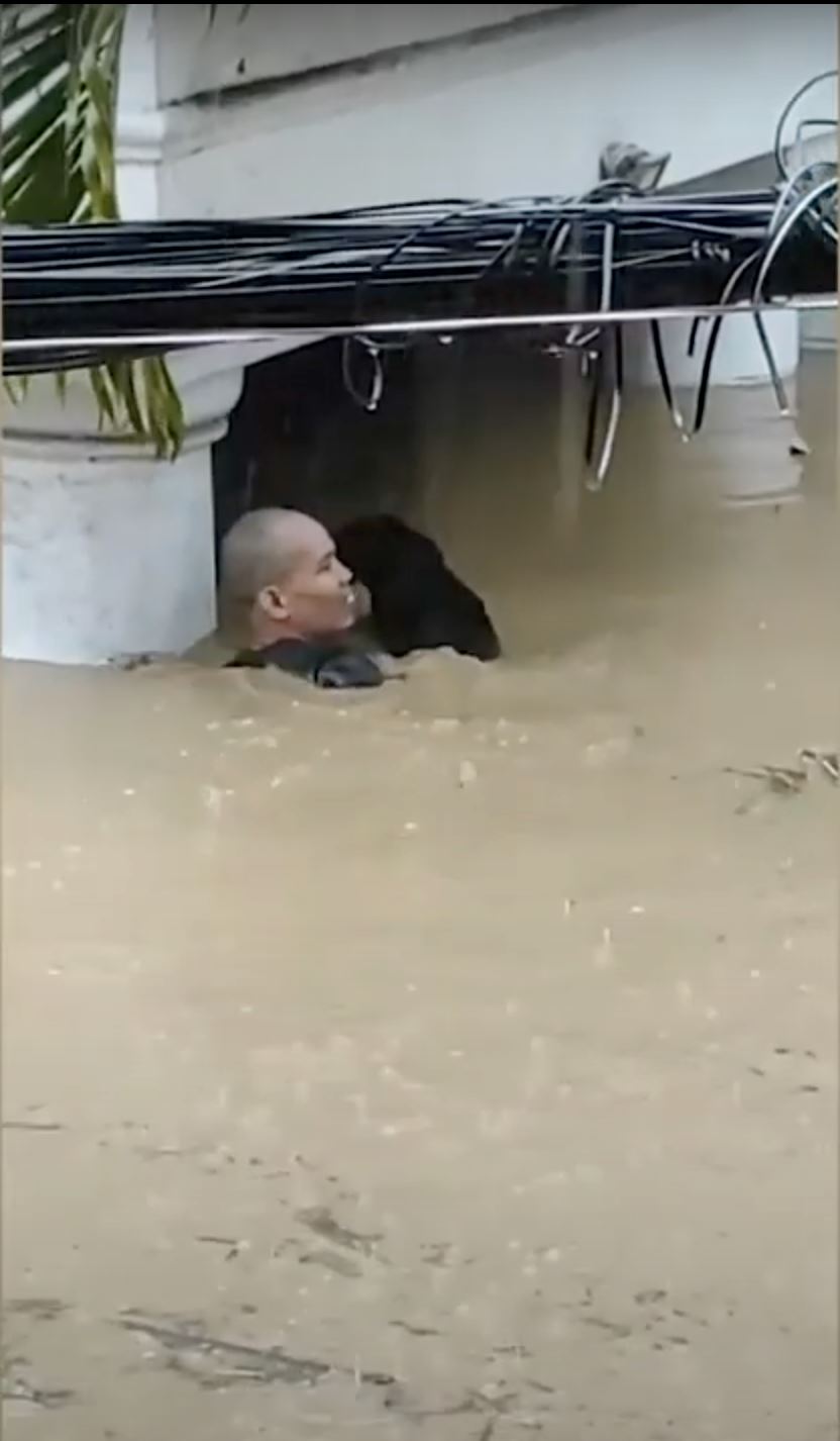 brave man swims through almost 2m deep water to save trapped dog