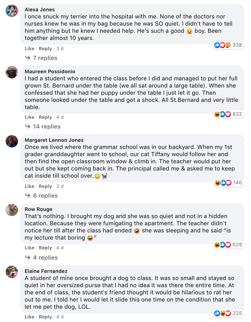 adorable cat tries its best to not get caught after being snuck into class