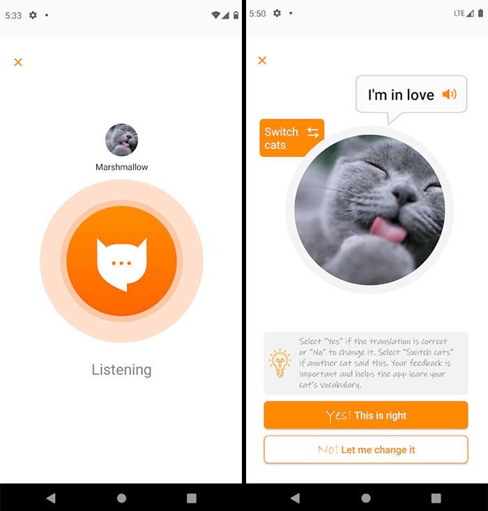 engineer creates app that translates what your cat’s meows mean!