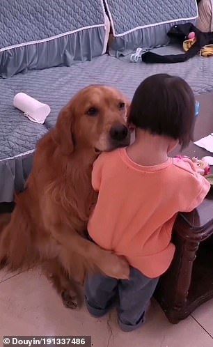 loyal doggo went viral “protecting” girl from mother that’s scolding her 