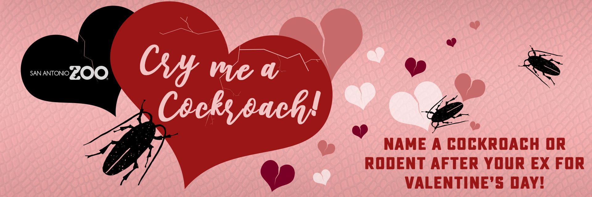 name a cockroach after your ex and watch it get eaten this valentine’s