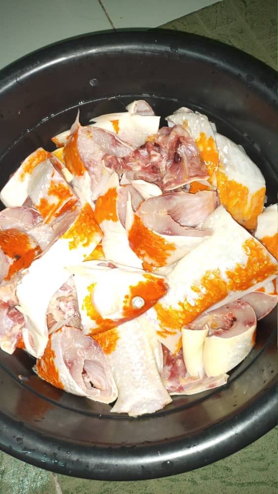 woman turns her japanese koi into fish soup after they accidentally died