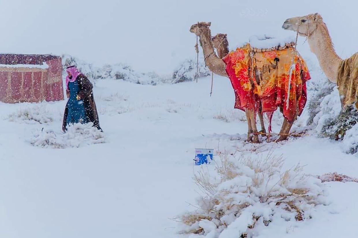 rare snow covers sahara desert & saudi arabia with a beautiful snow blanket