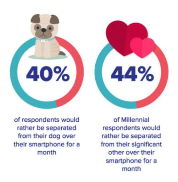 survey finds that 40% of people would give up their dog to keep their phones