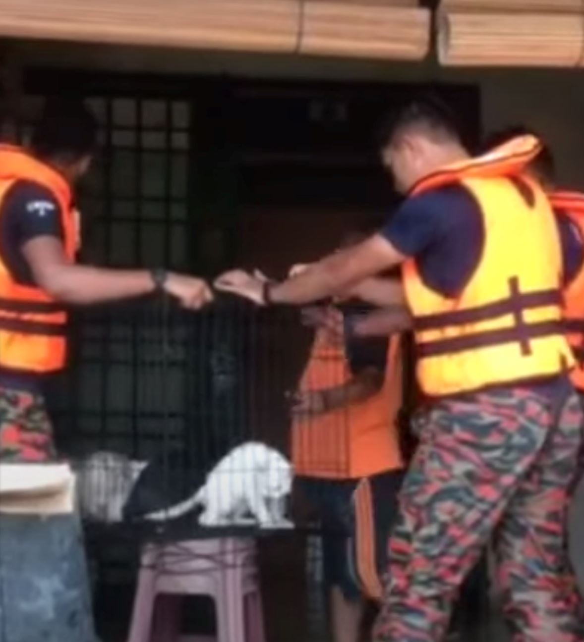 abang bomba help to save woman’s 40 cats during flood 