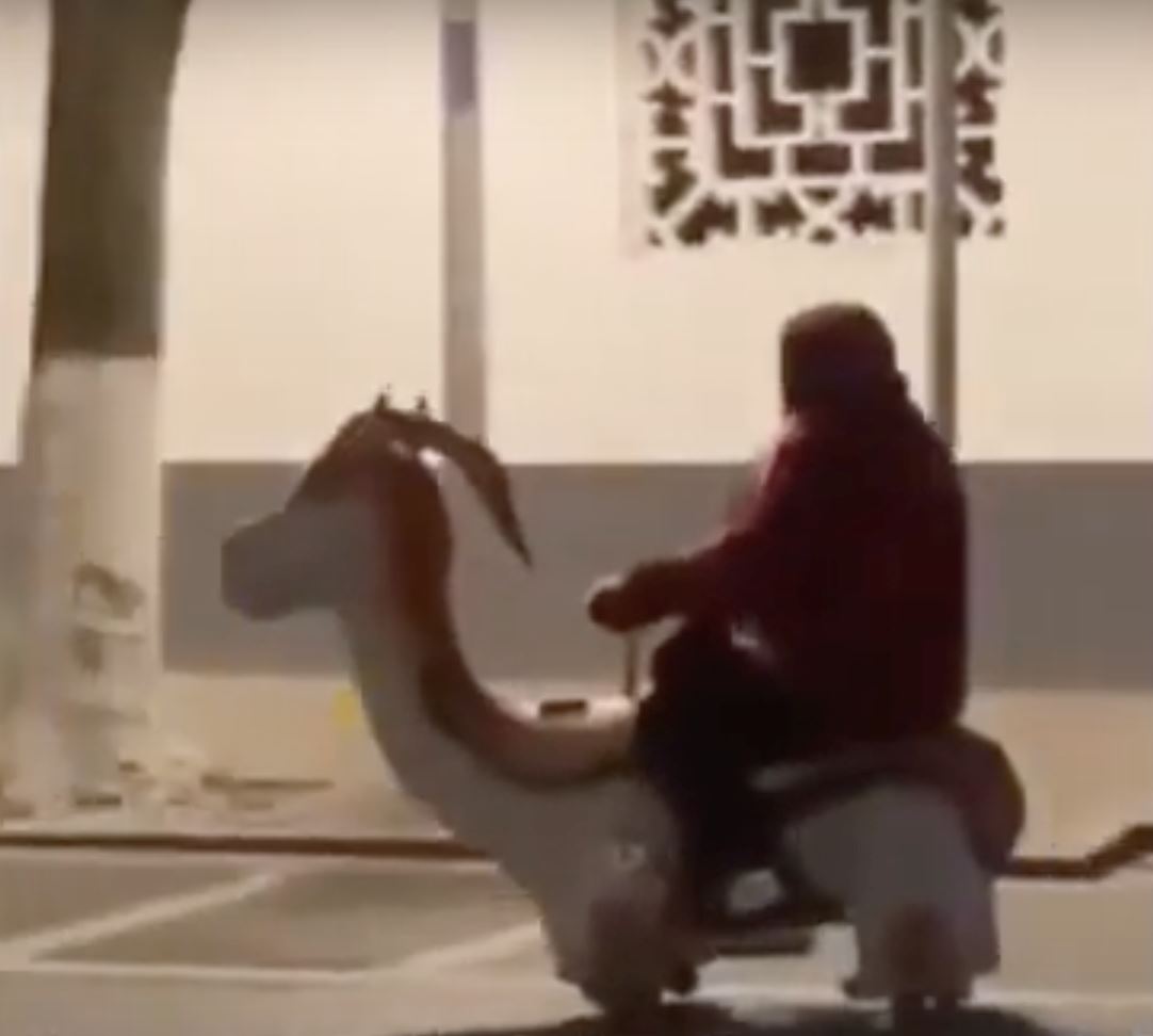 grandma seen riding animal scooter home because son was too busy to pick her up
