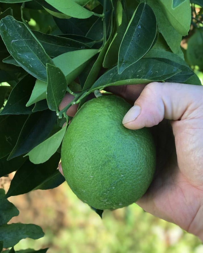 these 10 weird facts about food will make you question everything you eat