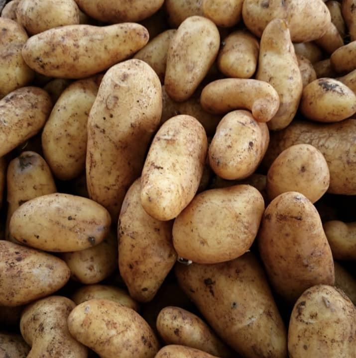 these 10 weird facts about food will make you question everything you eat