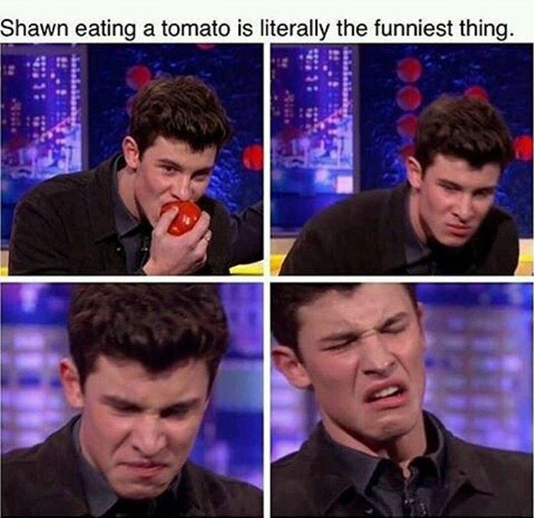11-need-to-know facts about shawn mendes