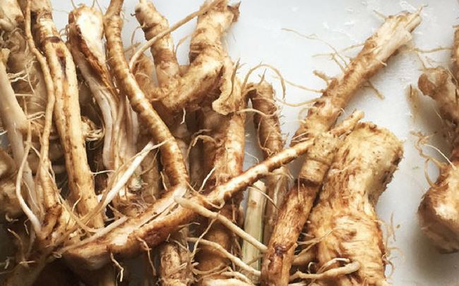 health fanatics are adding chicory to their coffee. here are 5 reasons why