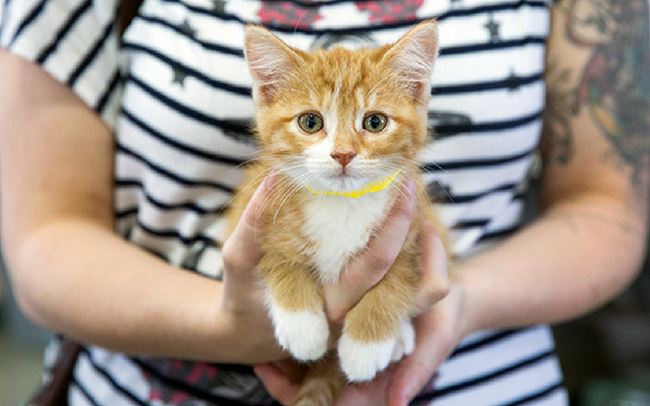 this christmas, give the gift of life, hope, joy, and appreciation  