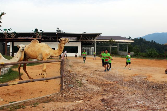 7 reasons why you’ll want to take your family to this theme park