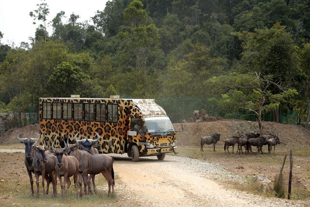 7 reasons why you’ll want to take your family to this theme park