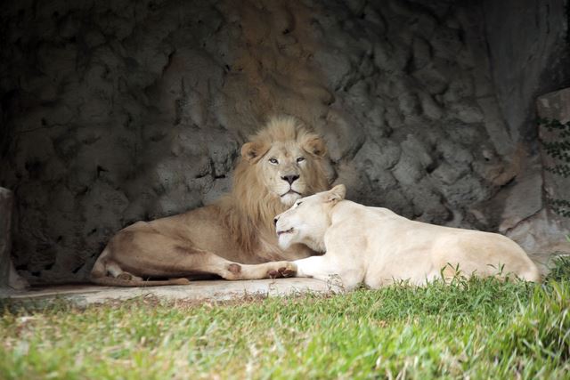 7 reasons why you’ll want to take your family to this theme park