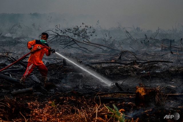 these 9 pictures show how devastating the haze season has been