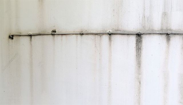 check the walls for these 4 things if you’re buying a house